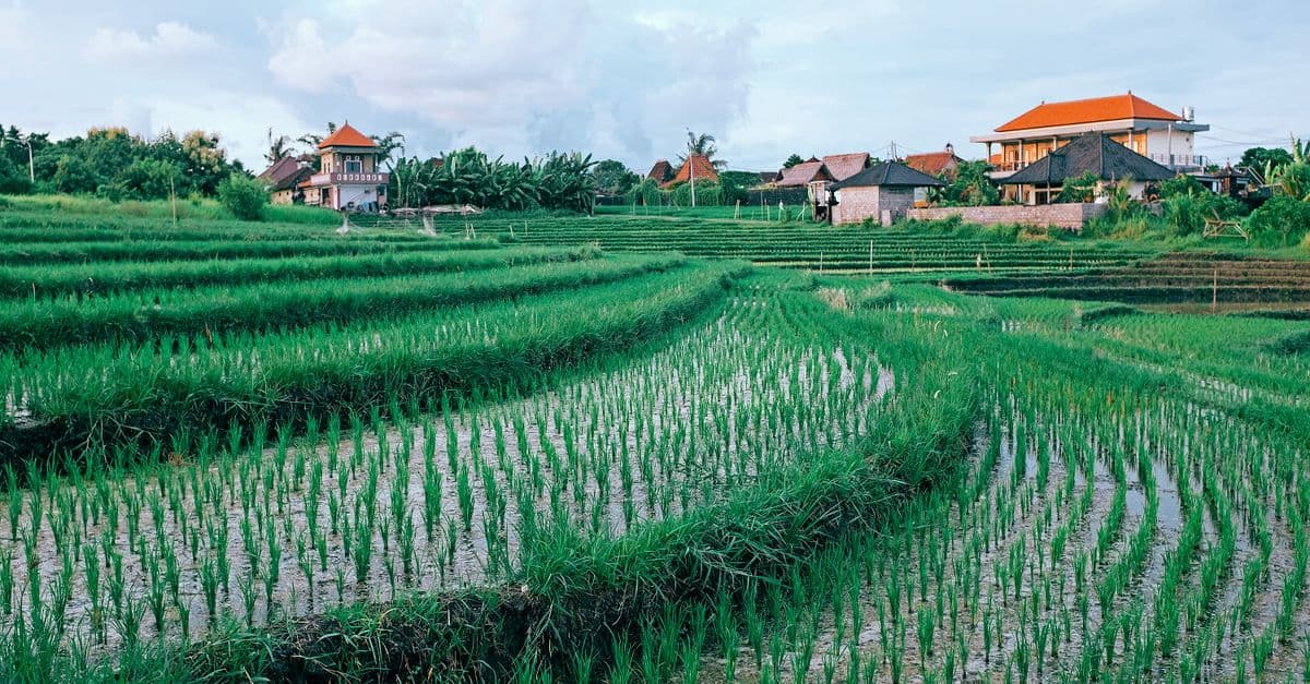 Seminyak or Uluwatu