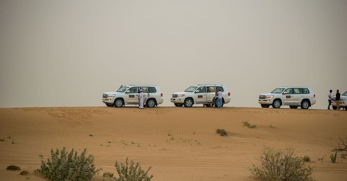 Desert safari