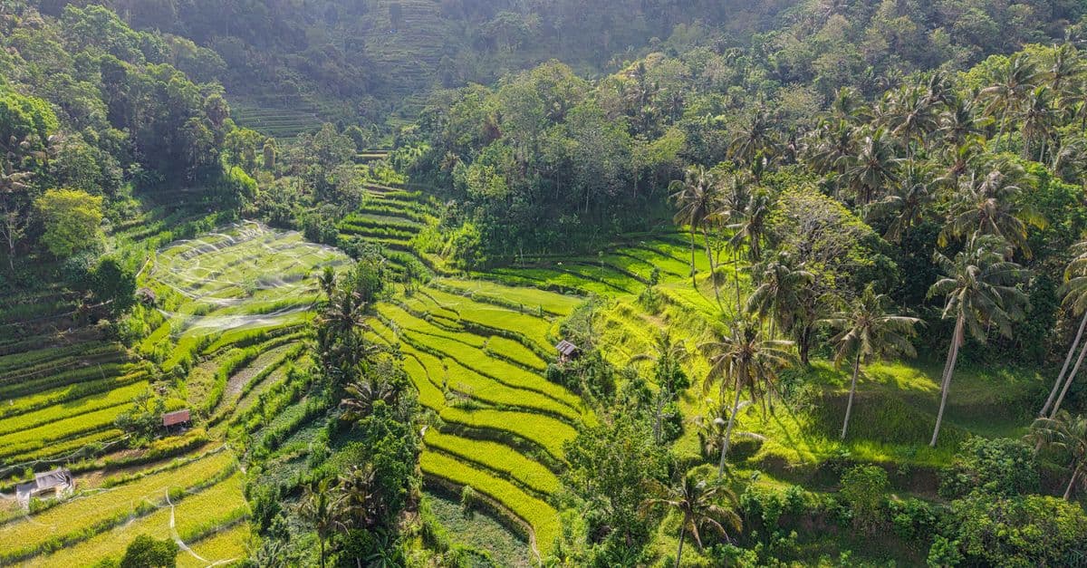 Bali