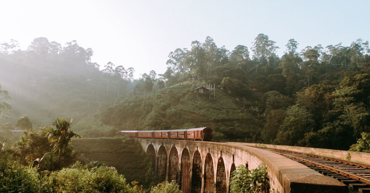 Sri Lanka in 7 Days: Hills, Beaches & Heritage