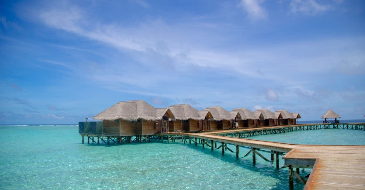 International trips under ₹1,50,000