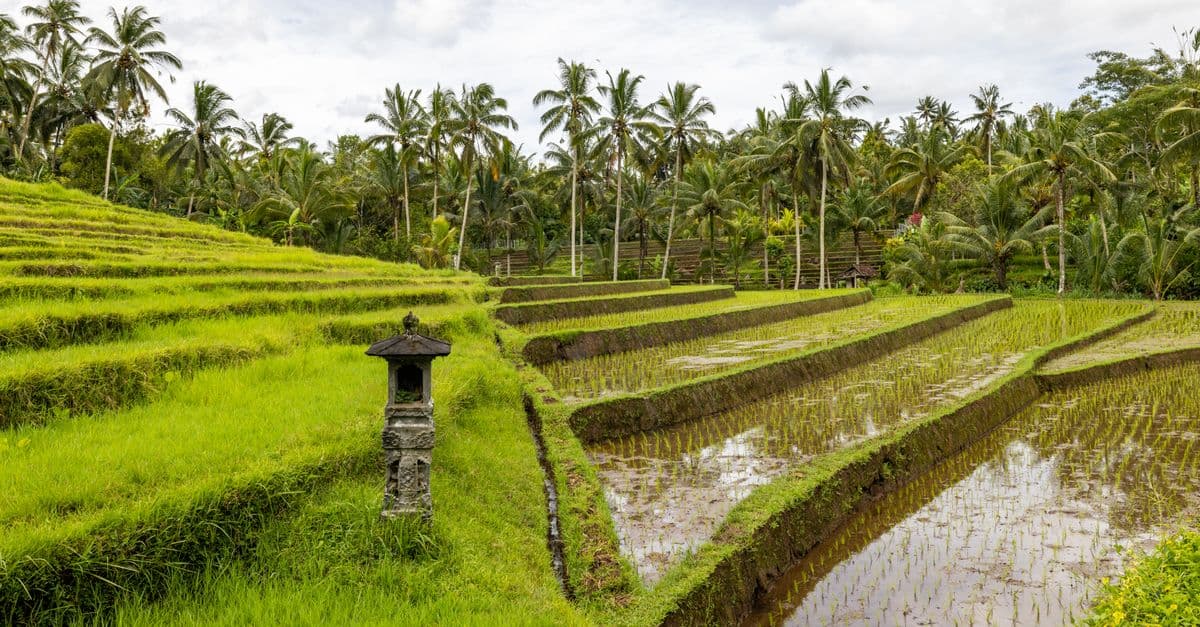 International trips under ₹75,000